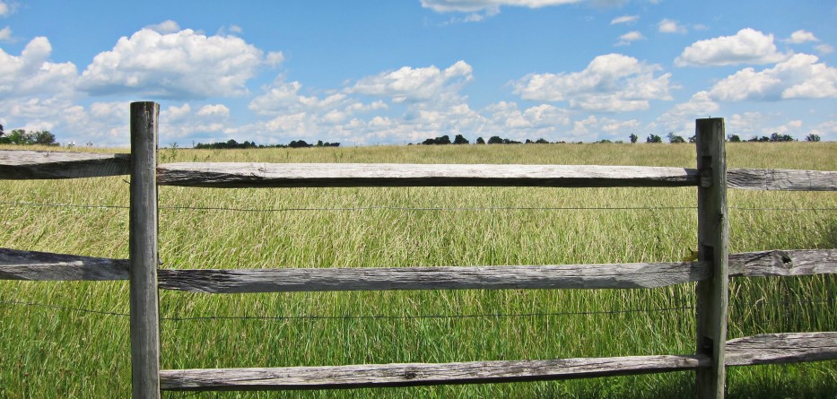 other-side-of-the-fence