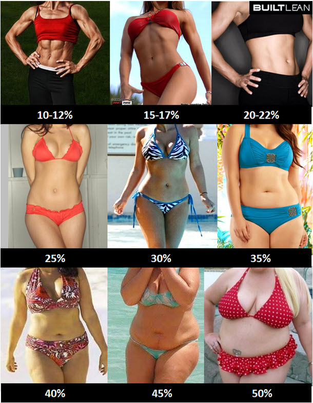 Average Women Body Fat 32
