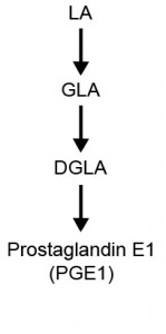 LA-conversion-to-GLA