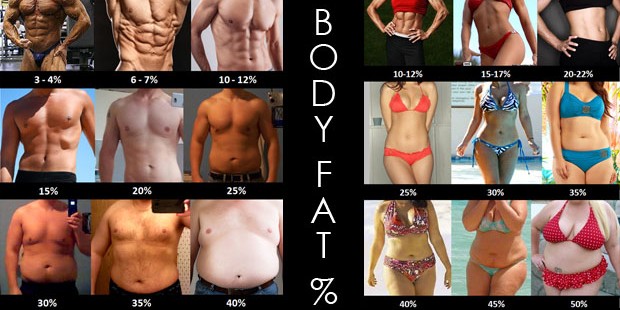 Ab Body Fat 64