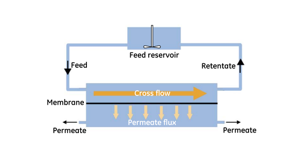 cross-flow-membrane-filtration