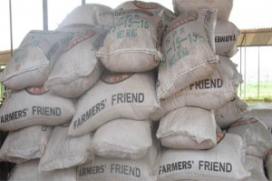 NPK Fertilizer Organic vs Conventional farming