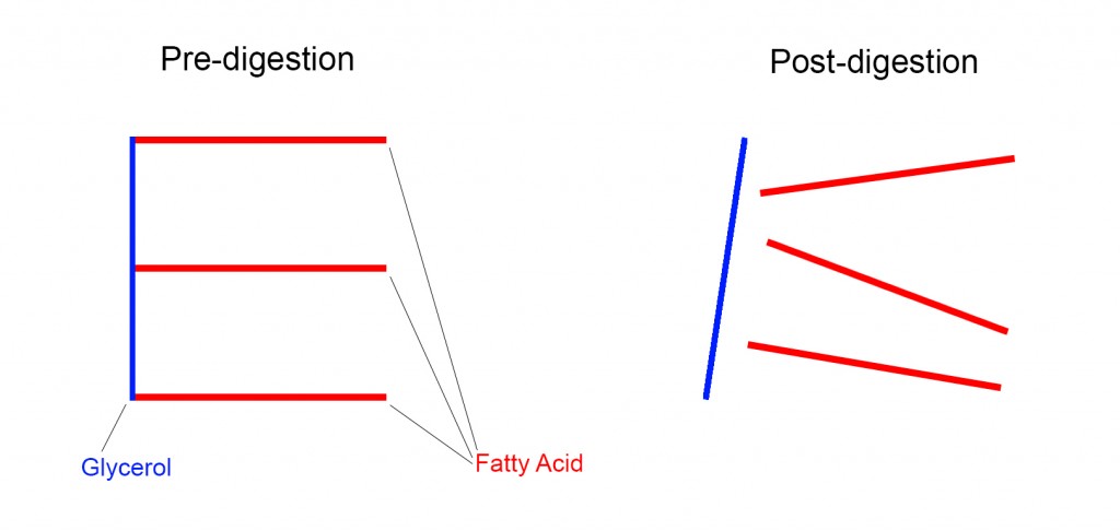 glycerol