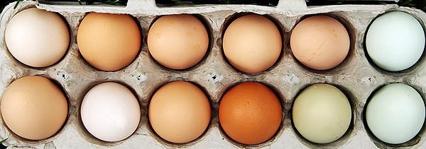 healthy-eggs