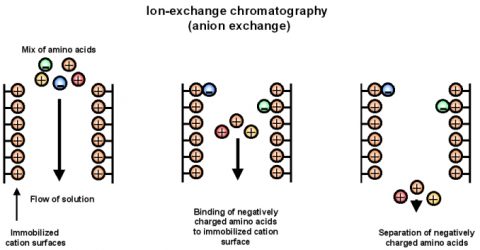 ion-exchange