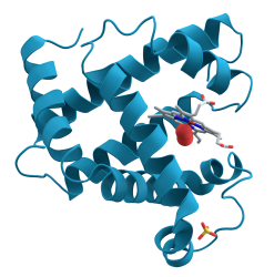 protein tertiary structure